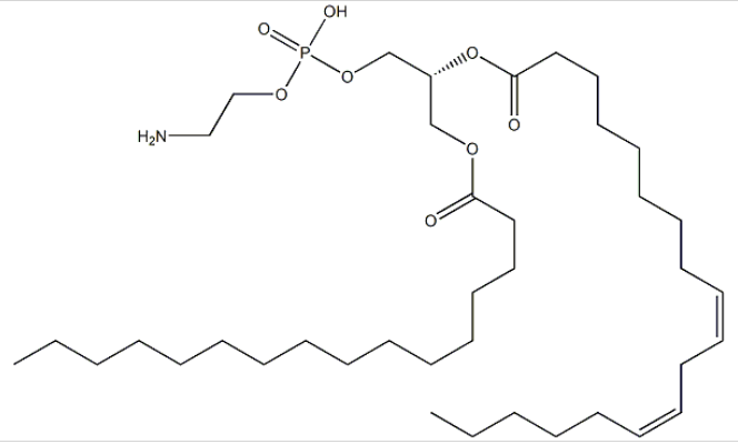 1-棕榈酰基-2-亚油酰基-sn-甘油-3-磷酸乙醇胺 1-Palmitoyl-2-linoleoyl-sn-glycero-3-phosphoethanolamine