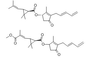 除虫菊提取物 Pyrethrum extract