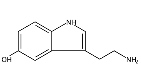 甲醇中5-羟基色胺溶液，1000μg/mL Serotonin Solution in Methanol, 1000μg/mL