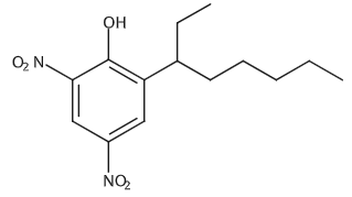 乙腈中2,4-二硝基-6-(1-乙基己基)苯酚溶液，100μg/mL 2,4-Dinitro-6-(1-ethylhexyl)phenol Solution in Acetonitrile, 100μg/mL