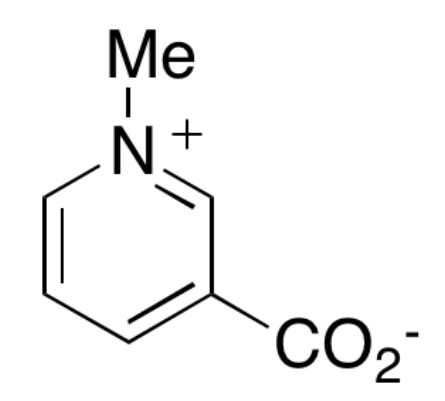 甲醇中葫芦巴碱溶液，1000μg/mL Trigonelline Solution in Methanol, 1000μg/mL
