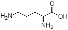 水中L-鸟氨酸溶液，100μg/mL L-Ornithine Solution in Water, 100μg/mL