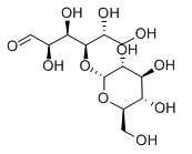 D-(+)-麦芽糖 D-(+)-Maltose