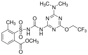 乙腈中氟胺磺隆溶液，100μg/mL Triflusulfuron-methyl Solution in Acetonitrile, 100μg/mL