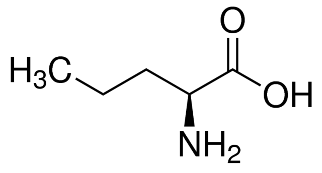 水中L-正缬氨酸溶液，100μg/mL L-Norvaline Solution in Water, 100μg/mL