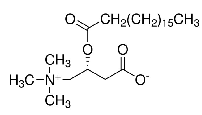 乙腈/水中硬脂酰-L-肉碱溶液，100μg/mL Stearoyl-L-carnitine Solution in Acetonitrile/Water, 100μg/mL