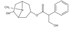 乙腈中消旋山莨菪碱溶液，100μg/mL rac-Anisodamine Solution in Acetonitrile, 100μg/mL