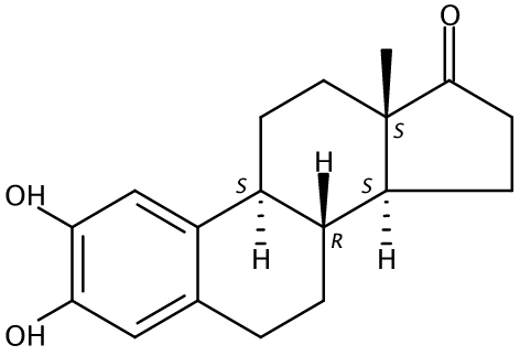 乙腈中2-羟雌甾酮溶液，100μg/mL 2-Hydroxy estrone Solution in Acetonitrile, 100μg/mL