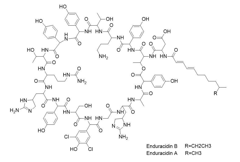 水中持久霉素溶液，1000μg/mL Enduracidin Solution in Water, 1000μg/mL