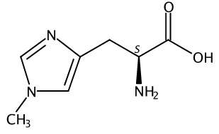 1-甲基-L-组氨酸 1-Methyl-L-histidine