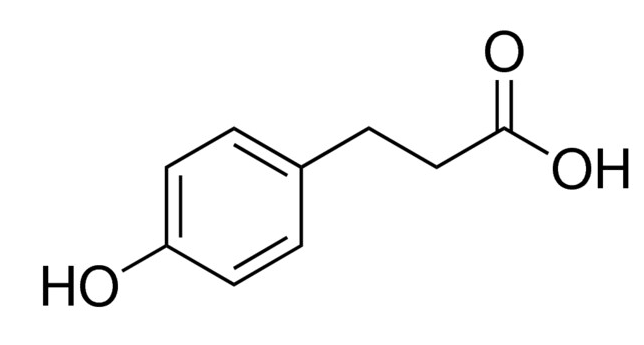 对羟基苯丙酸 Phloretic acid