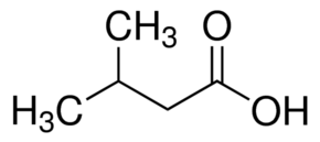 甲基叔丁基醚中异戊酸溶液，10000μg/mL Isovaleric acid Solution in MTBE, 10000μg/mL