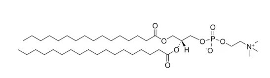 氯仿中1-棕榈酰-2-硬脂酰-sn-甘油-3-磷酰胆碱溶液，1000μg/mL 1-Palmitoyl-2-stearoyl-sn-glycero-3-phosphorylcholine Solution in Chloroform, 1000μg/mL