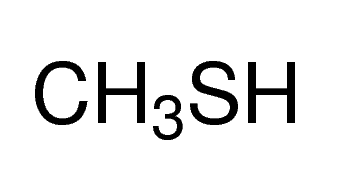 甲醇中甲硫醇溶液，1000μg/mL Methanethiol Solution in Methanol, 1000μg/mL