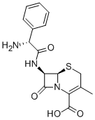 头孢氨苄 Cephalexin