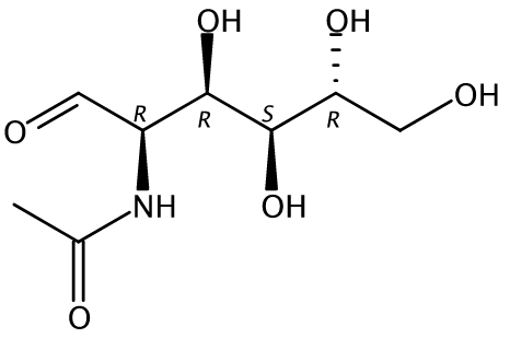 N -乙酰基- D -氨基葡萄糖 N-Acetyl-D-glucosamine