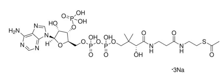 乙酰辅酶A三钠盐 Acetyl coenzyme A trisodium salt