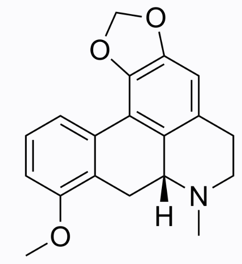 二甲基亚砜中千金藤碱溶液，1000μg/mL Stephanine Solution in DMSO, 1000μg/mL