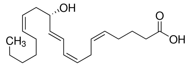 乙醇中12(S)-羟基-(5Z,8Z,10E,14Z)-二十碳四烯酸溶液，100μg/mL 12(S)-Hydroxy-(5Z,8Z,10E,14Z)-eicosatetraenoic acid Solution in Ethanol, 100μg/mL