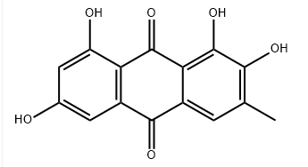 二甲基亚砜中2-羟基大黄素溶液，1000μg/mL 2-Hydroxyemodin Solution in DMSO, 1000μg/mL