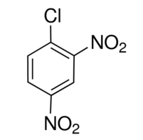 二氯甲烷中2,4-二硝基氯苯溶液，100μg/mL 2,4-Dinitrochlorobenzene Solution in Dichloromethane, 100μg/mL