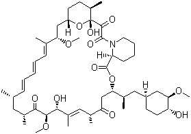 雷帕霉素 Rapamycin