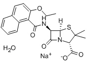 萘夫西林钠一水合物 Nafcillin sodium monohydrate