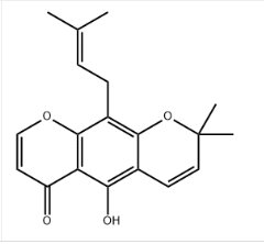 二甲基亚砜中Eriosematin溶液，1000μg/mL Eriosematin Solution in DMSO, 1000μg/mL