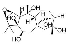 闹羊花毒素III Rhodojaponin III