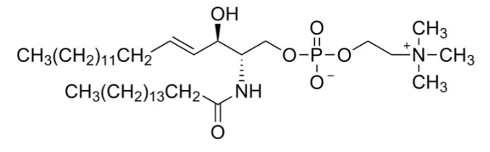 N-棕榈酰-D-鞘磷脂 N-Palmitoyl-D-sphingomyelin