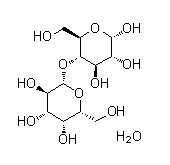 α-D-乳糖一水合物 α-D-Lactose monohydrate