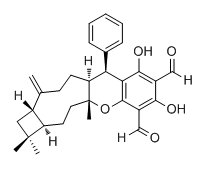 二甲基亚砜中Psidial A溶液，1000μg/mL Psidial A Solution in DMSO, 1000μg/mL