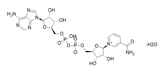 水中β-烟酰胺腺嘌呤二核苷酸水合物溶液，1000μg/mL Nadide hydrate Solution in Water, 1000μg/mL
