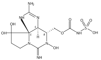 水中漆沟藻毒素6(GTX 6)溶液，(13～14)μmol/L Gonyautoxin 6 Solution in Water, (13～14)μmol/L