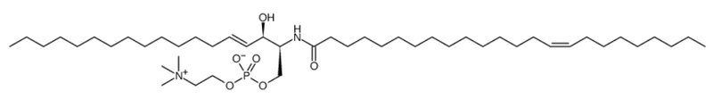 氯仿中C24:1 鞘磷脂溶液，100μg/mL C24:1 Sphingomyelin Solution in Chloroform, 100μg/mL