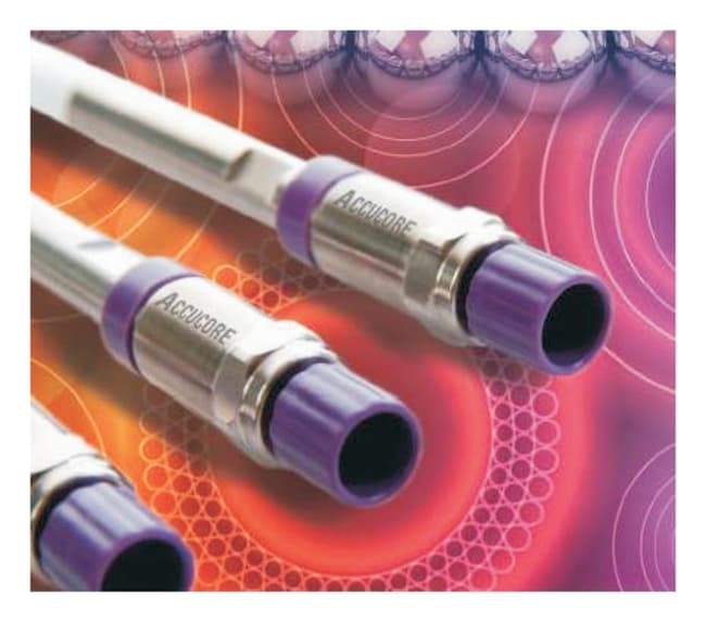 赛默飞|Thermo Fisher|Accucore&trade; Phenyl-X HPLC 色谱柱|货号 27926-104630|100 mm, 4.6 mm, -|1pk