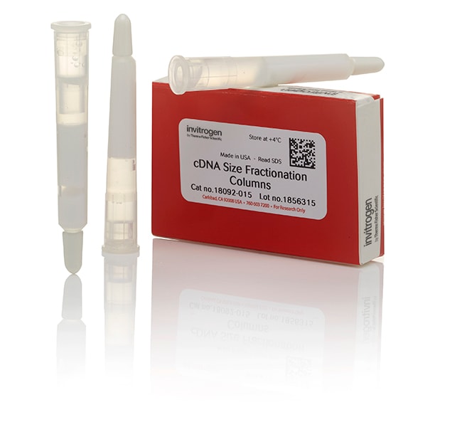 赛默飞|Thermo Fisher|cDNA 分级分离色谱柱|货号 18092015|3柱, Each|1pk