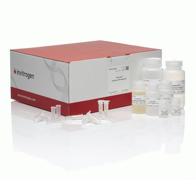 赛默飞|Thermo Fisher|PureLink&trade; 基因组 DNA 小提试剂盒|货号 K182001|50 次制备, Each|1pk