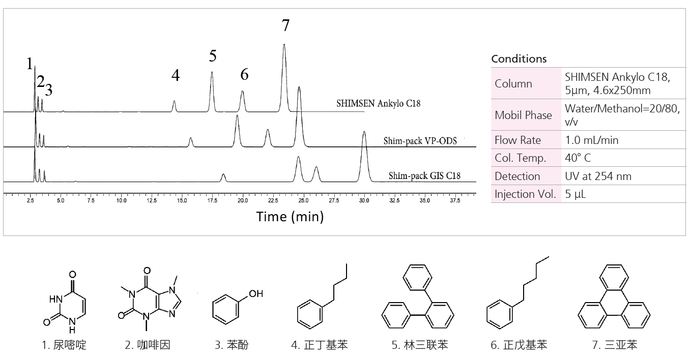 SHIMSEN Ankylo C18系列-2.jpg