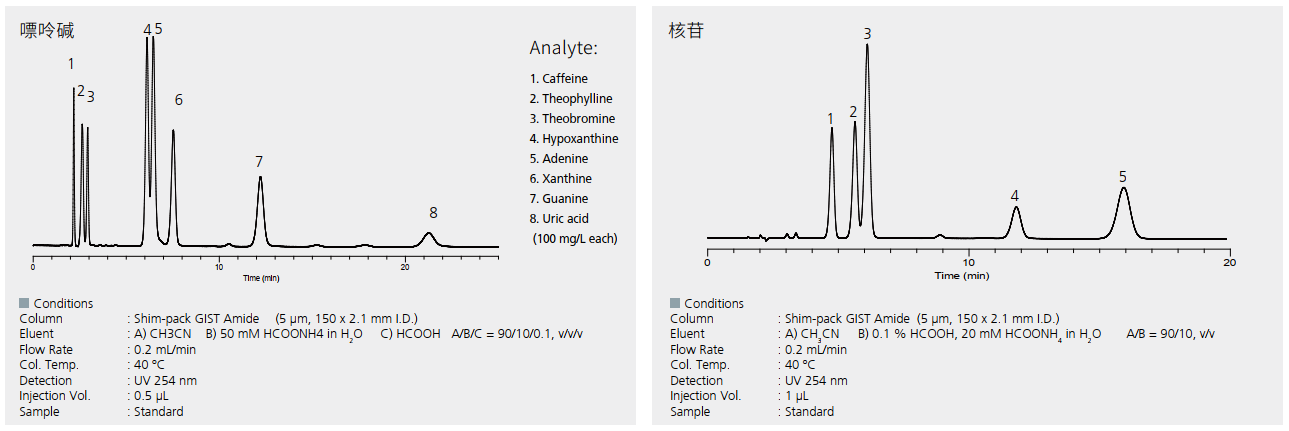 Shim-pack GIST Amide-2.jpg