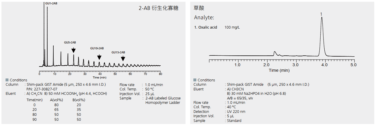 Shim-pack GIST Amide-4.jpg