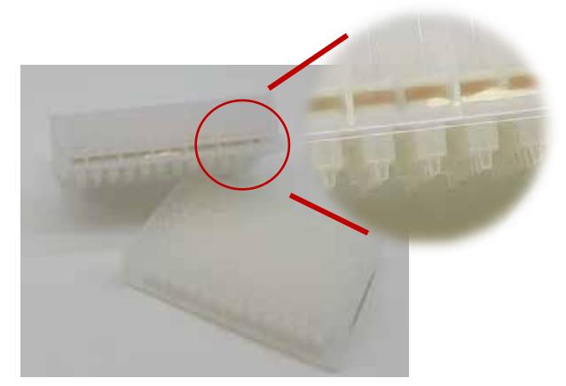 96 孔 SPE - 固相萃取板