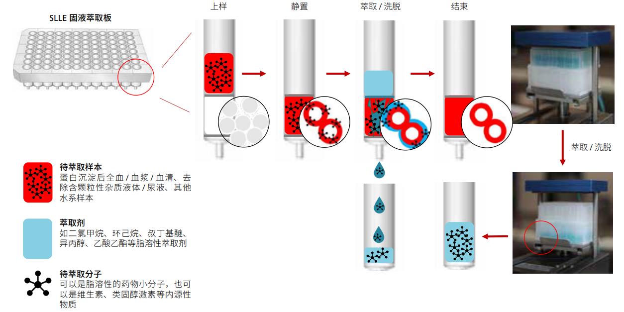 96 孔板生物分析系列