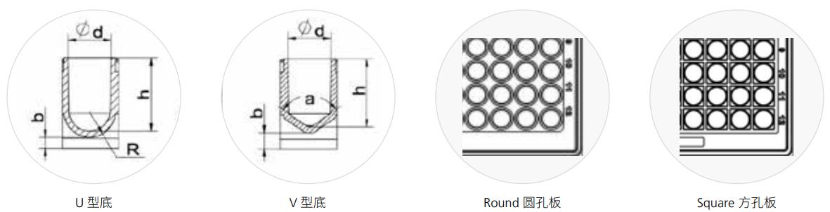 96孔空板及盖垫