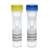 冰冻人血清酶活性浓度标准物质