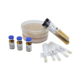 产气荚膜梭菌（GB 4789.28/GB 8538-2022） Clostridium perfringens