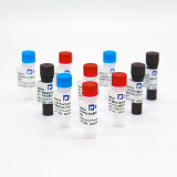 Feline panleukopenia virus DNA lab quality control