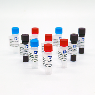 星状诺卡氏菌核酸参考品（热灭活）（强阳性） Nocardia asteroides nucleic acid reference (Heat inactivated) (Strongly positive)