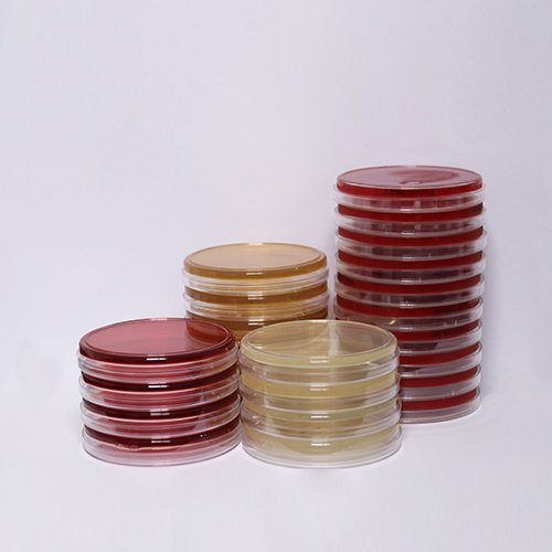 2216E海水琼脂即用型平板