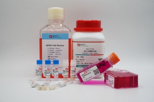 骆马链球菌定值引物 /